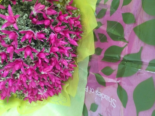 印刷された非編まれた花はみずみずしい花/結婚祝いの包むことのためのロールスロイスに卸しでスリーブを付けます